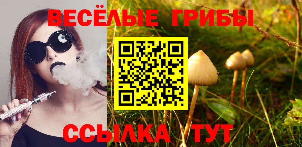 Псилоцибиновые грибы Magic Shrooms Фролово