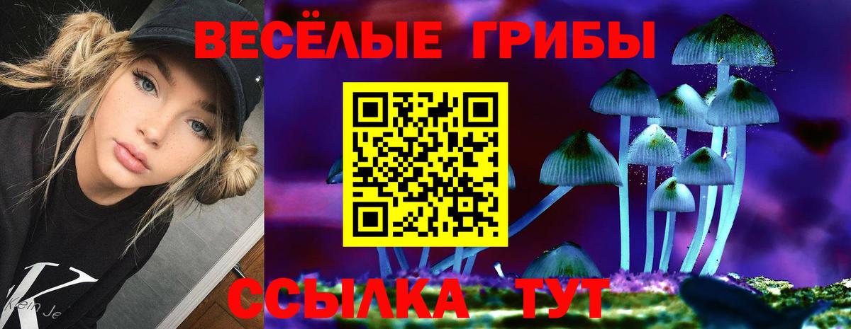 Фролово  Галлюциногенные грибы Magic Shrooms  Вход с VPN  Галлюциногенные грибы GOLDEN TEACHER 